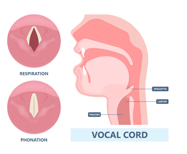 Voice Therapy for Vocal Cord Paralysis